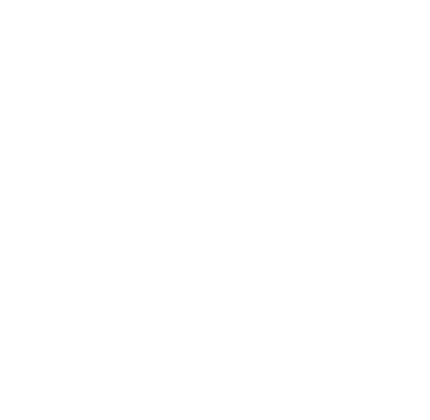 overall score identityiq